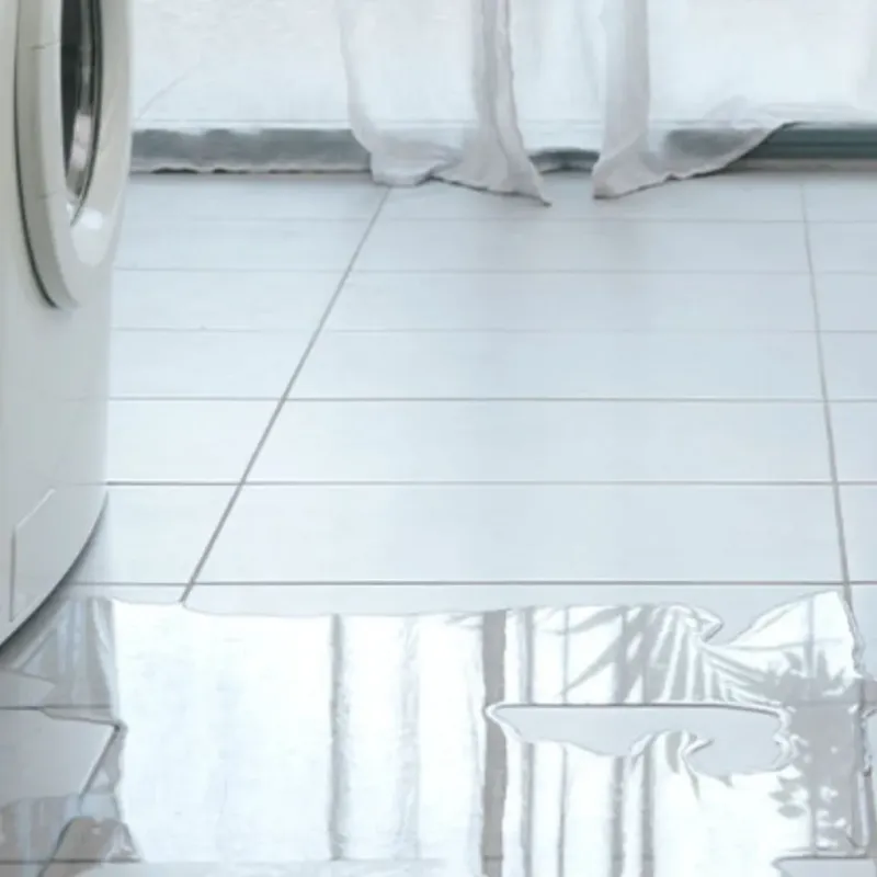 Appliance Leak Cleanup in Castle Rock, WA