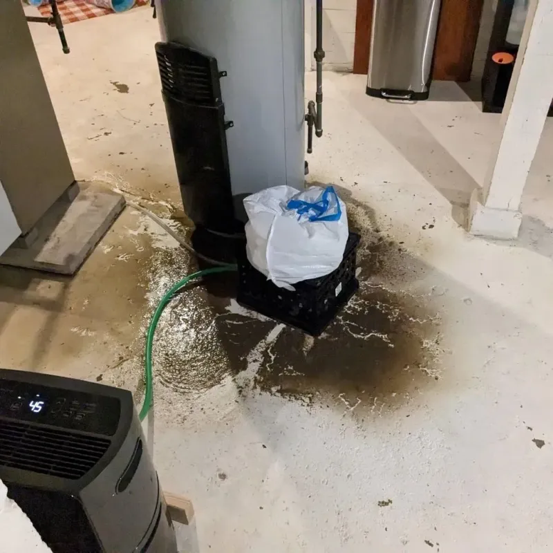 Sewage Backup Cleanup Service in Castle Rock, WA